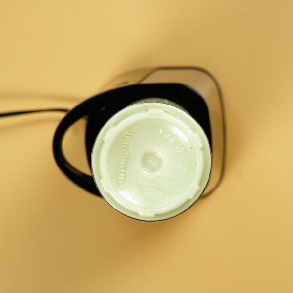 Bitter Gourd Juice recipe
