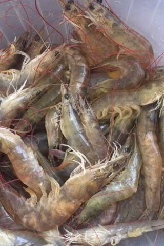 Braised Prawns recipe