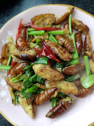 Dry Stir-fried Silkworm Pupa recipe