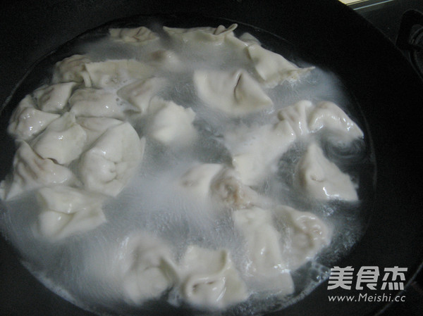 Beef and Cabbage Wonton recipe