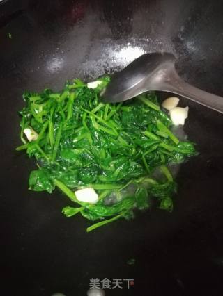 Vegetarian Stir-fried Bean Sprouts recipe