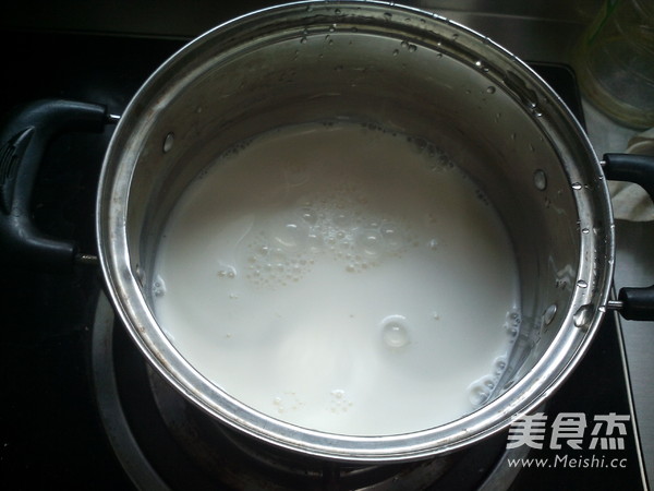 Papaya Milk Jelly recipe