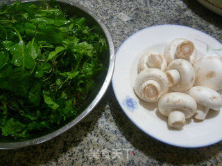 Shepherd's Purse Stir-fried Mushrooms recipe