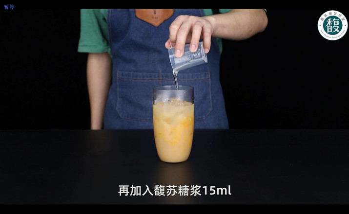 Fresh Orange Juice Lactobacillus recipe