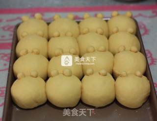 Celebrity Bears Sitting in Rows---pumpkin Pooh Squeezed and Squeezed recipe