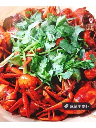 Sichuan Spicy Crayfish