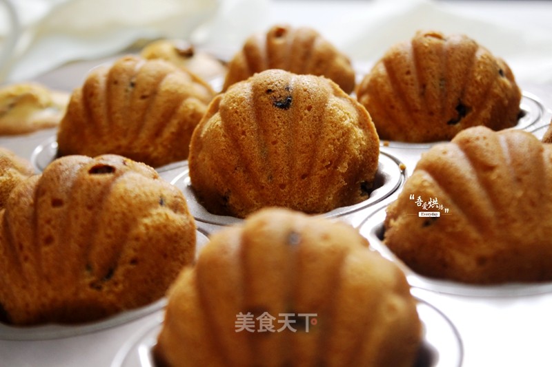 Cranberry Madeleine recipe