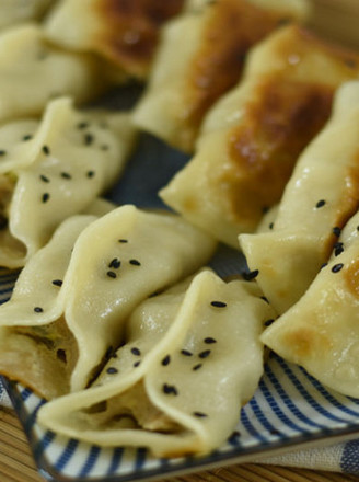Pork and Cabbage Pot Stickers