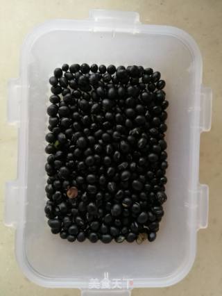 Black Bean Water recipe