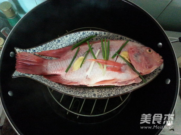 Steamed Red Snapper Fresh Trial in June recipe