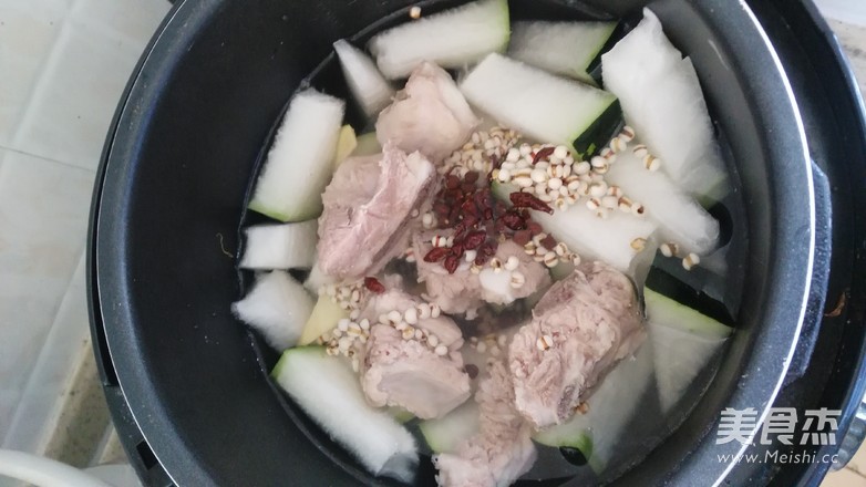 Winter Melon and Barley Pork Rib Soup recipe