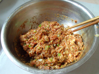 Lamb and Scallion Dumplings recipe