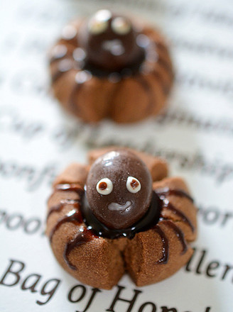 Spider Cocoa Biscuits