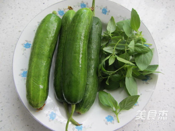 Nepeta Mixed with Cucumber recipe