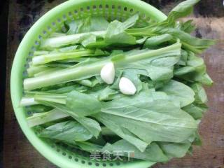 Stir-fried Bitter Wheat Vegetables recipe