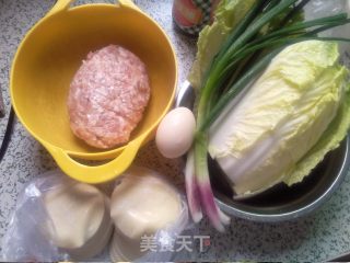 #trust之美#cabbage and Pork Pot Stickers recipe