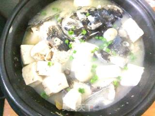 【suzhou】mushroom Tofu Fish Head Soup recipe