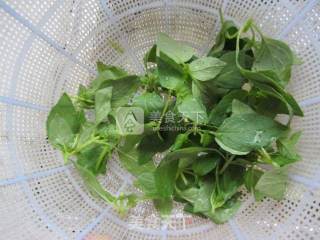 Nepeta Mixed with Red Cabbage recipe