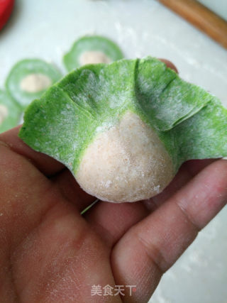 #trust之美#cabbage Dumplings recipe