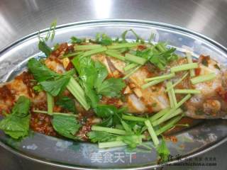 Home-cooked Dishes @@辣豆瓣 Steamed Grouper recipe