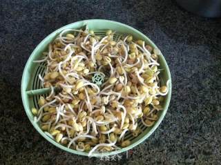 Soybean Sprouts Mixed with Spinach recipe