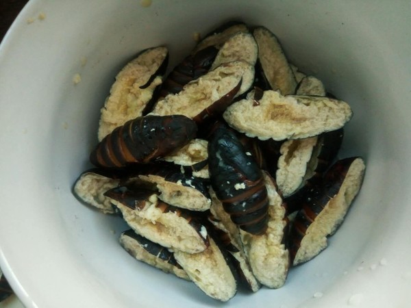 Dry Stir-fried Silkworm Pupa recipe