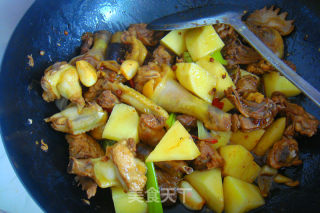 Spicy Potato Chicken---simple Stew in A Few Steps recipe