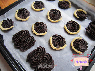 Snail Cookies (viennese Cocoa Shortbread) recipe