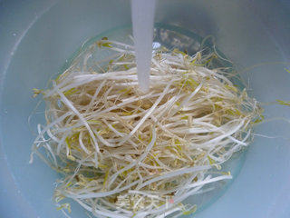 Golden Needle Mushroom Mixed with Mung Bean Sprouts recipe