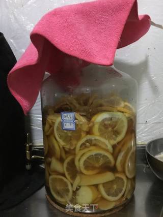 Ginger Lemon Enzyme recipe