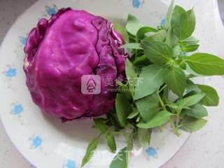 Nepeta Mixed with Red Cabbage recipe