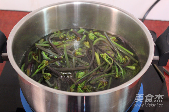 Bracken Fiddlehead recipe