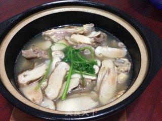 【matsutake Chicken Soup】 recipe
