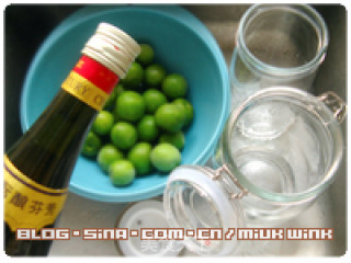 [green Plum Wine] Homemade Plum Wine recipe