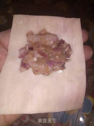 Onion Wontons recipe
