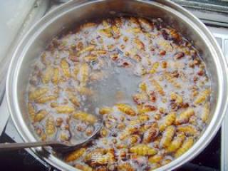 Dry Stir-fried Silkworm Pupae. recipe