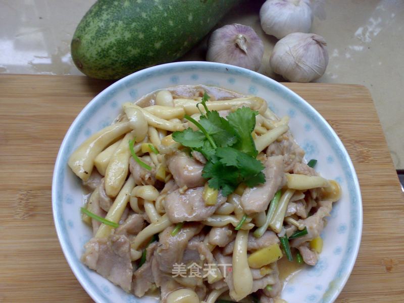 Stir-fried Pork with White Jade Mushroom recipe