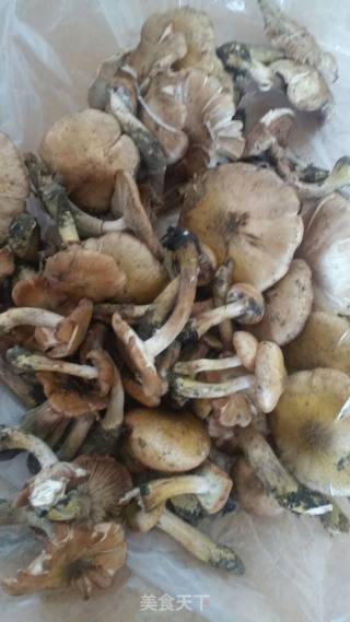 Chicken Drumstick Hazel Mill Stewed Potatoes recipe