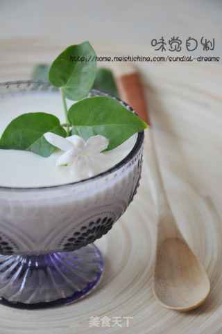 Jasmine Tea Yogurt recipe