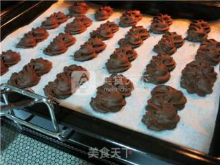 Viennese Cocoa Cookies recipe