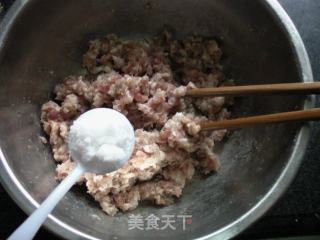 Homemade Harbin Sausage recipe