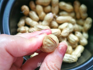 Boiled Peanuts in Brine recipe