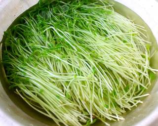 Cold Bean Sprouts Melon Seeds recipe