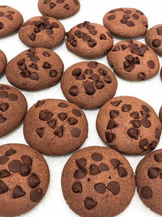Fun Duoduo Chocolate Bean Cookies【77 Shares】