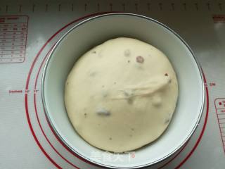 Cranberry Cheese Soft European recipe