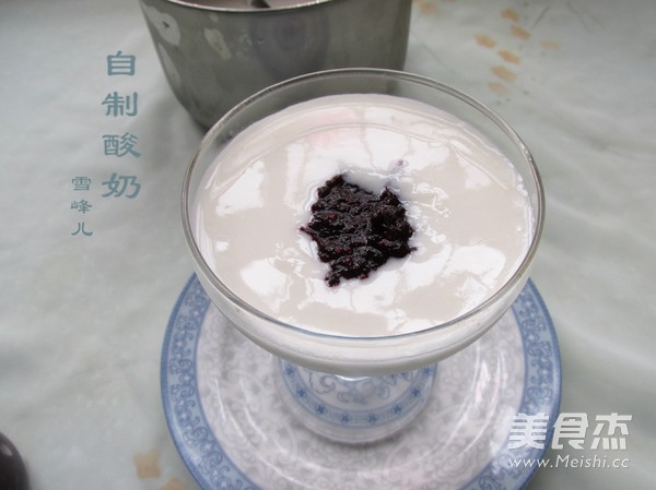 Homemade Mulberry Yogurt recipe