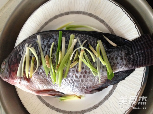 Steamed Tilapia recipe