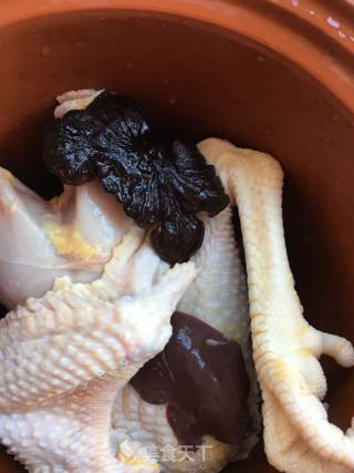 "good Soup for Runzao" Ganoderma, Bamboo Fungus and Rooster Soup recipe