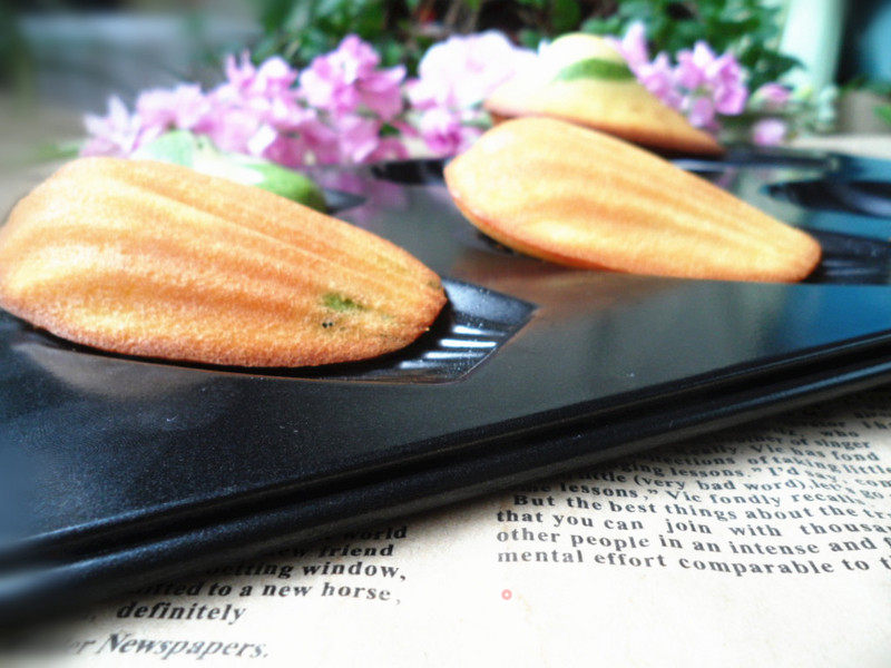 Madeleine Cake recipe