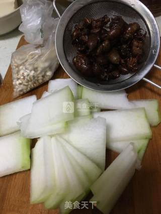 Cicada Shed Barley and Winter Melon Water recipe